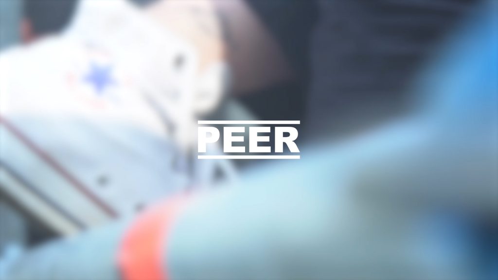 Peer &#8211; Recaps